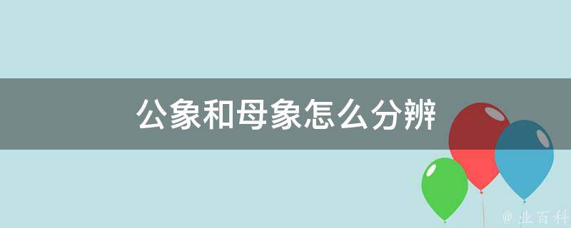 公象和母象怎么分辨 