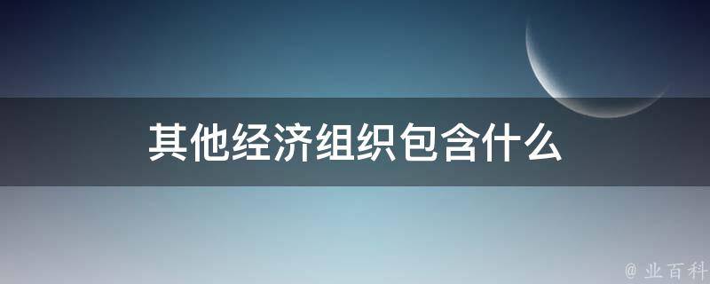 其他经济组织包含什么 