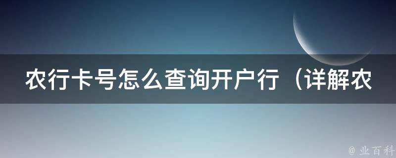 农行**怎么查询开户行_详解农行**开户行查询方法及注意事项