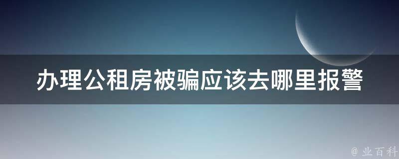 办理公租房被骗应该去哪里**_应该向哪个部门举报？