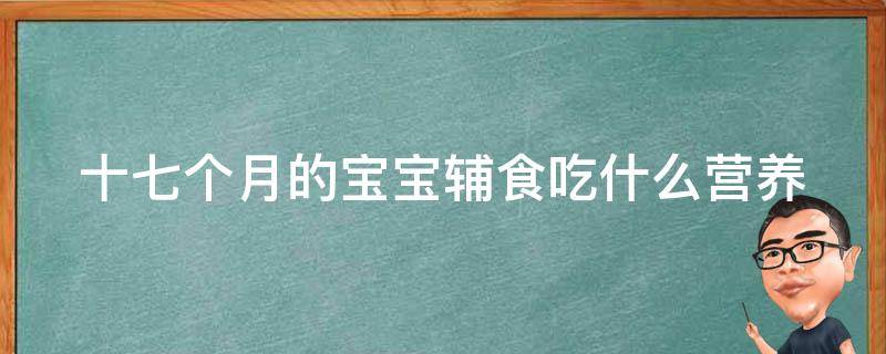 十七个月的宝宝辅食吃什么_营养丰富的菜谱推荐