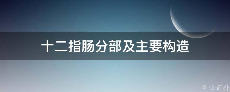 十二指肠分部及主要构造 