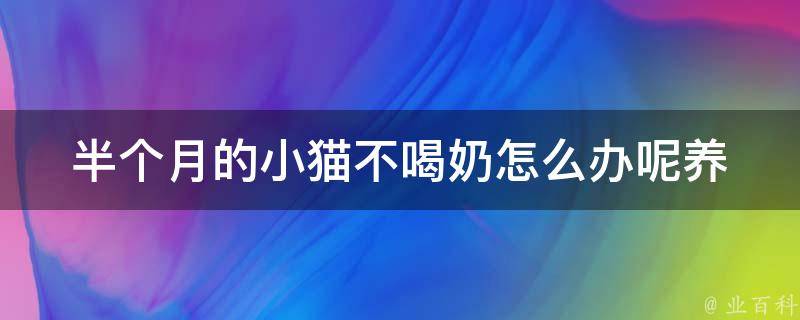 半个月的小猫不喝奶怎么办呢_养猫初学者必看的喂养技巧