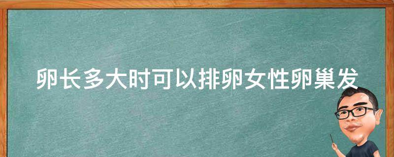 卵长多大时可以排卵_女性卵巢发育周期详解。