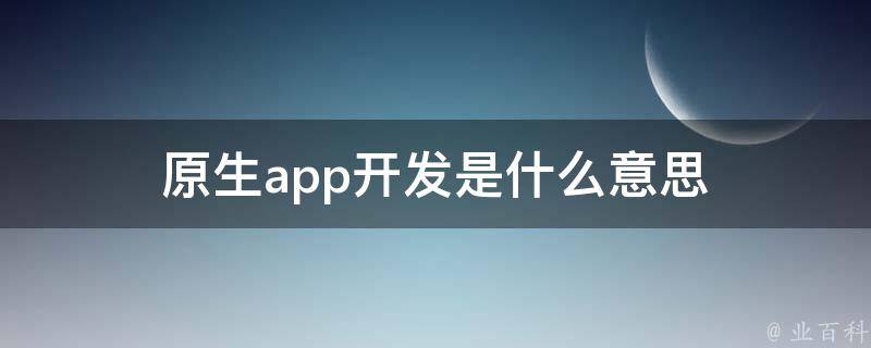 原生app开发是什么意思 