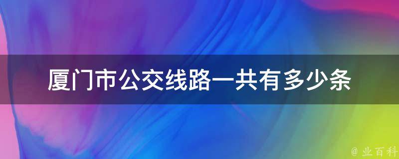 厦门市公交线路一共有多少条 