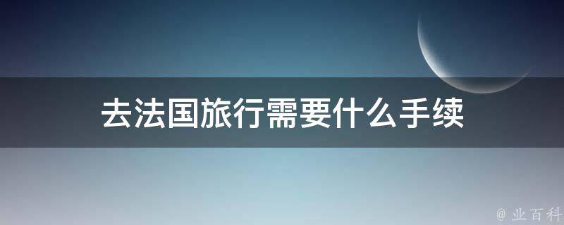 去法国旅行需要什么手续 