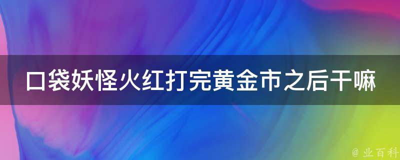 口袋妖怪火红打完黄金市之后干嘛 