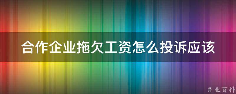 合作企业拖欠工资怎么投诉_应该如何处理这种情况