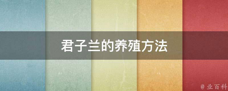 君子兰的养殖方法 