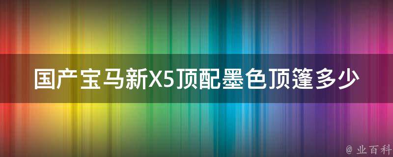 国产宝马新X5顶配墨色顶篷多少钱(详细解析顶配配置及同级竞品对比)