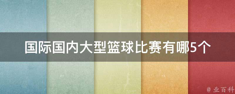 国际国内大型篮球比赛有哪5个 