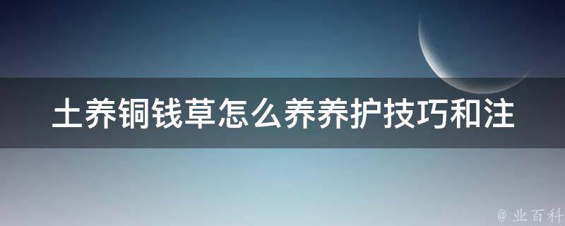 土养铜钱草怎么养(养护技巧和注意事项)