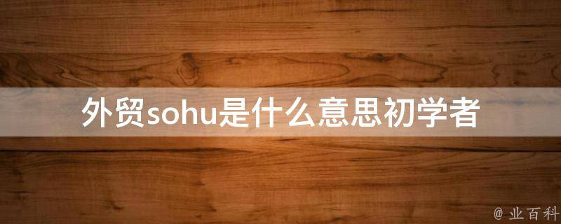 外贸sohu是什么意思(初学者必看)