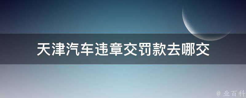 天津汽车违章交罚款去哪交 