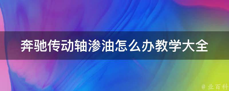 奔驰传动轴渗油怎么办教学大全_详解奔驰车传动轴渗油原因及解决方法