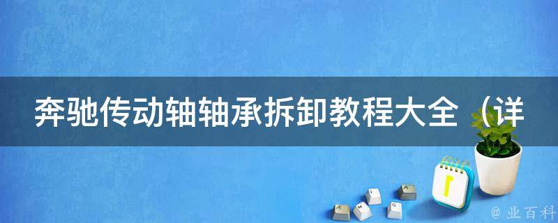 奔驰传动轴轴承拆卸教程大全_详细步骤+图解+注意事项