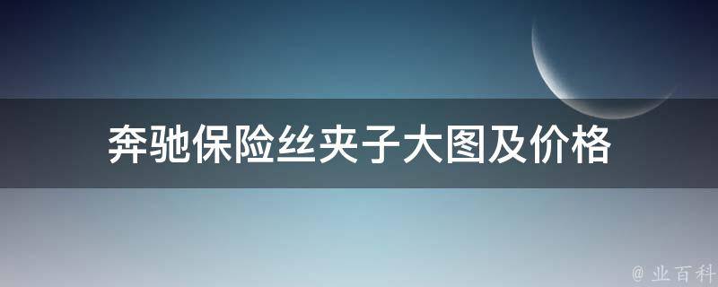 奔驰保险丝夹子大图及价格