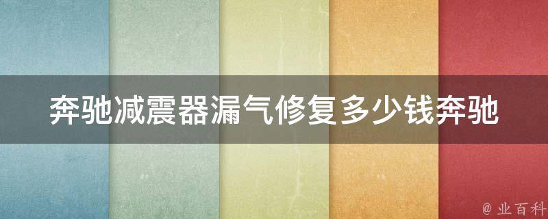 奔驰减震器漏气修复多少钱(奔驰车主必看减震器漏气修复全攻略)