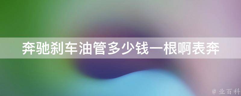 奔驰刹车油管多少钱一根啊表_奔驰原装刹车油管价格及购买建议