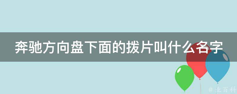 奔驰方向盘下面的拨片叫什么名字来着呢