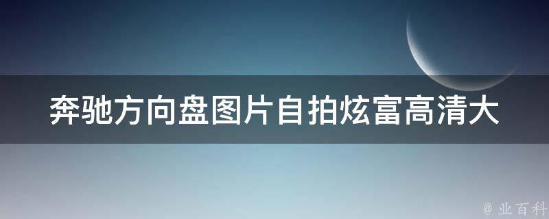 奔驰方向盘图片**_炫富高清大全