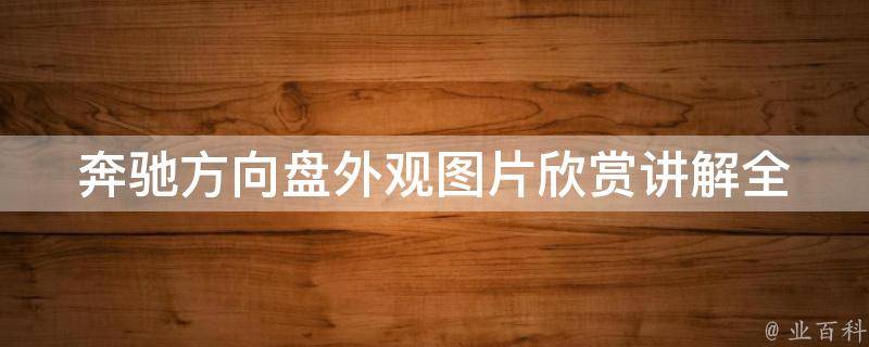 奔驰方向盘外观图片欣赏讲解(全方位解析奔驰方向盘设计特点及细节)