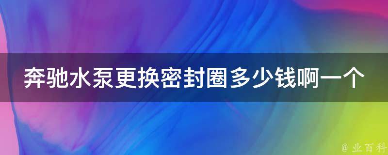 奔驰水泵更换密封圈多少钱啊一个