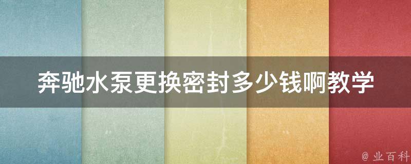 奔驰水泵更换密封多少钱啊教学_详解奔驰水泵密封更换步骤及费用参考