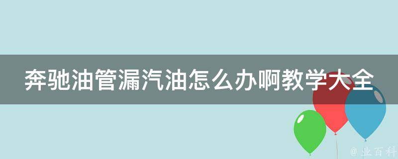 奔驰油管漏汽油怎么办啊教学大全