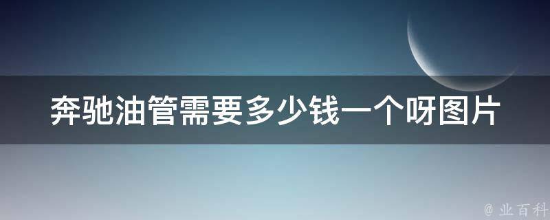 奔驰油管需要多少钱一个呀图片(2021年最新**表及选购指南)