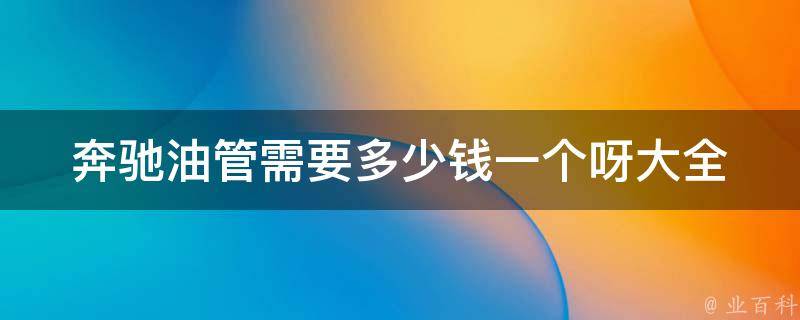 奔驰油管需要多少钱一个呀大全_最新价格表+购买攻略