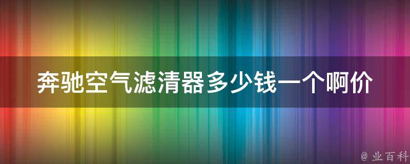 奔驰空气滤清器多少钱一个啊_价格表及安装方法