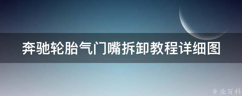 奔驰轮胎气门嘴拆卸教程_详细图解+**教学