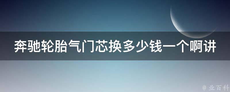 奔驰轮胎气门芯换多少钱一个啊讲解