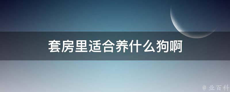 套房里适合养什么狗啊 