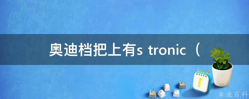 奥迪档把上有s tronic_s tronic变速箱的优点和缺点