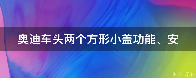 奥迪车头两个方形小盖_功能、安装、维修、**