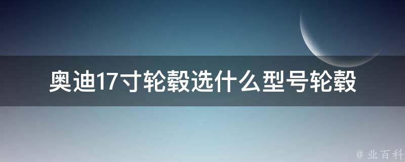 奥迪17寸轮毂选什么型号_轮毂推荐、适合奥迪车型的17寸轮毂选择