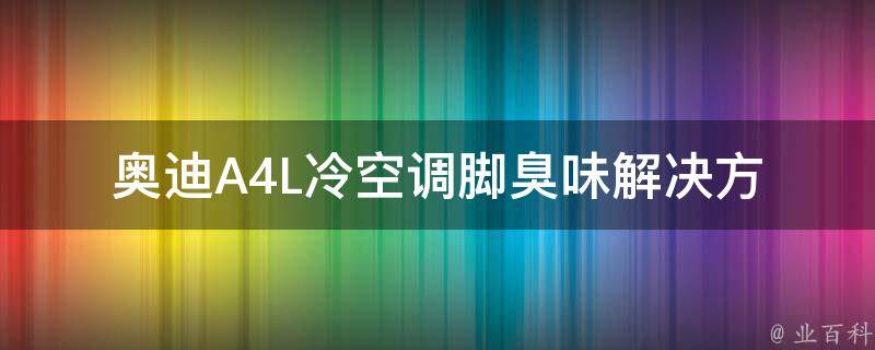 奥迪A4L冷空调脚臭味_解决方法有哪些