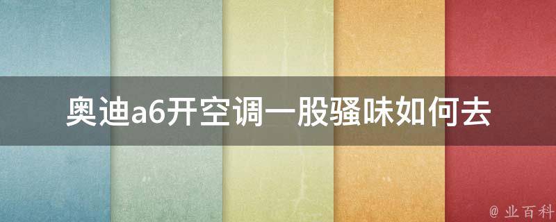 奥迪a6开空调一股*味(如何去除奥迪a6空调异味的方法)