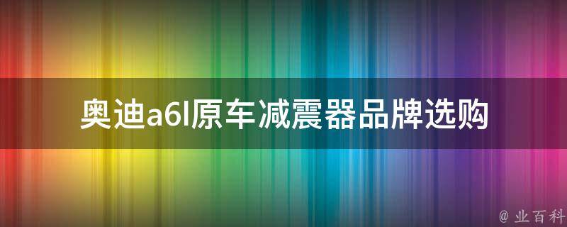 奥迪a6l原车减震器品牌_选购指南、性价比排行榜、安装教程。