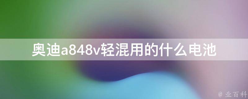 奥迪a848v轻混用的什么电池(详解奥迪a848v轻混车型的电池类型及性能)