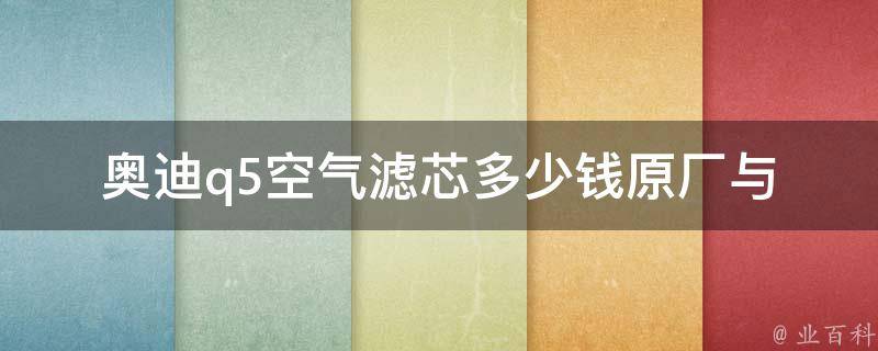 奥迪q5空气滤芯多少钱_原厂与适配款对比，经济又实惠的购买方式。