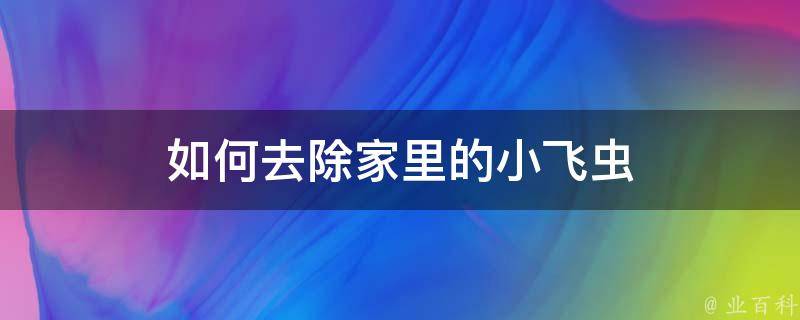 如何去除家里的小飞虫 