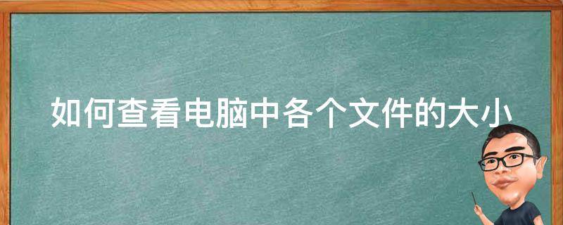 如何查看电脑中各个文件的大小 