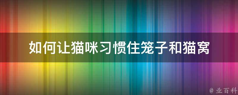 如何让猫咪习惯住笼子和猫窝 