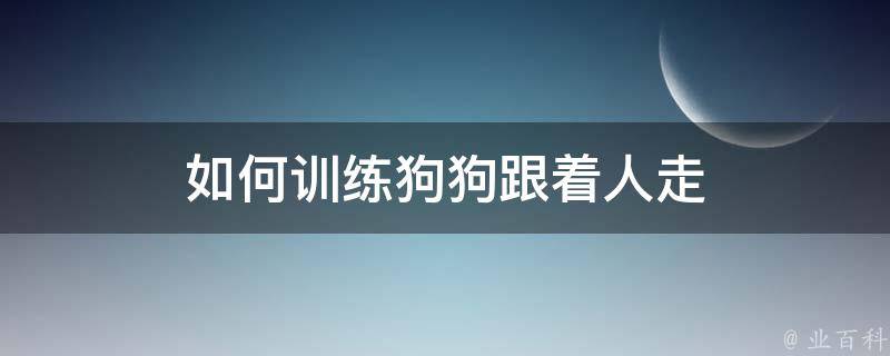 如何训练狗狗跟着人走 