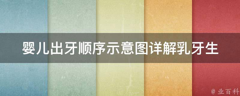 婴儿出牙顺序示意图(详解乳牙生长过程及注意事项)。