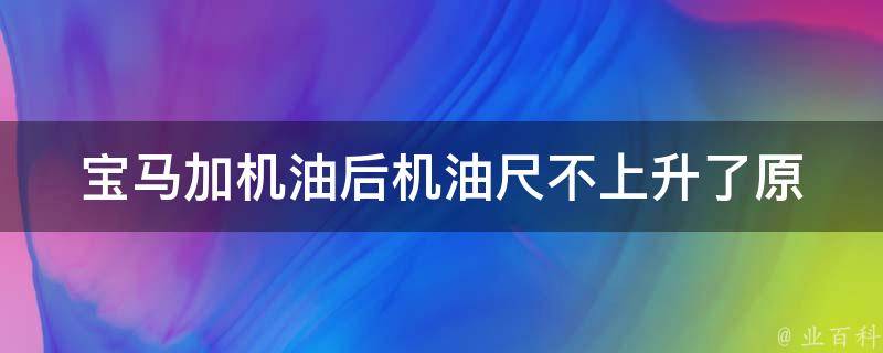 宝马加机油后机油尺不上升了(原因分析及解决方法)